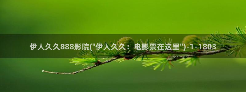 伊人全网视频盛宴