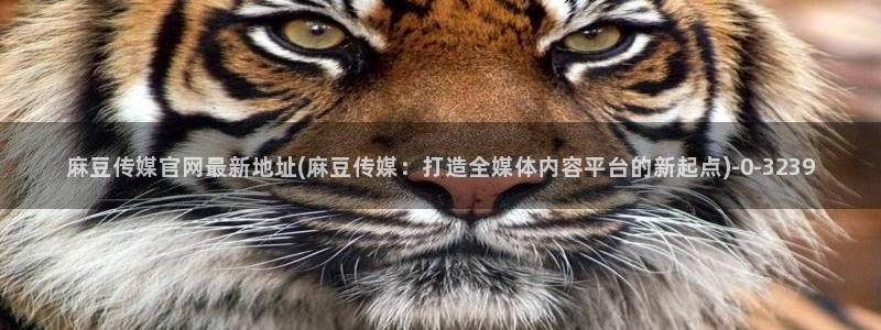 麻豆剧传媒电影官网：麻豆传媒官网最新地址(麻豆传媒：打造全媒体内容平台的新起点)