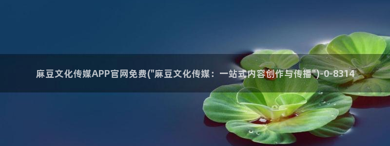 台湾麻豆传媒官网地址