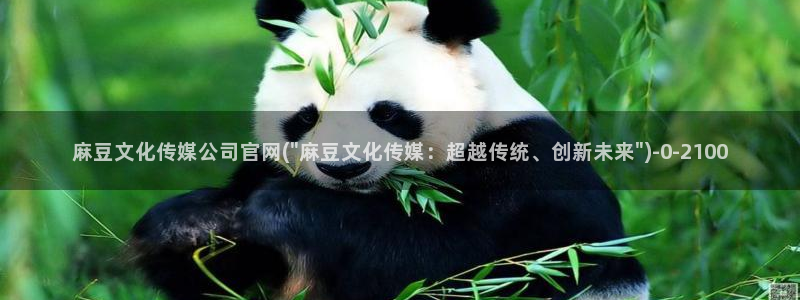 麻豆啊传媒app官网：麻豆文化传媒公司官网(\