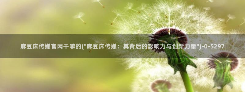 麻豆腐传媒官网：麻豆床传媒官网干嘛的(\