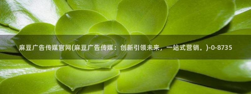 台湾91麻豆传媒官网：麻豆广告传媒官网(麻豆广告传媒：创新引领未来，一站式营销。)