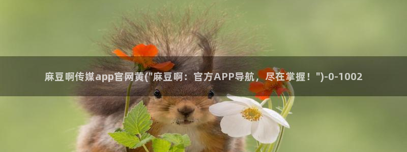 麻豆传媒官网iOS：麻豆啊传媒app官网黄(\