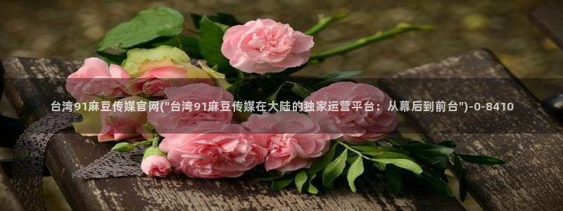 网页搜索 麻豆传媒官网：台湾91麻豆传媒官网(\