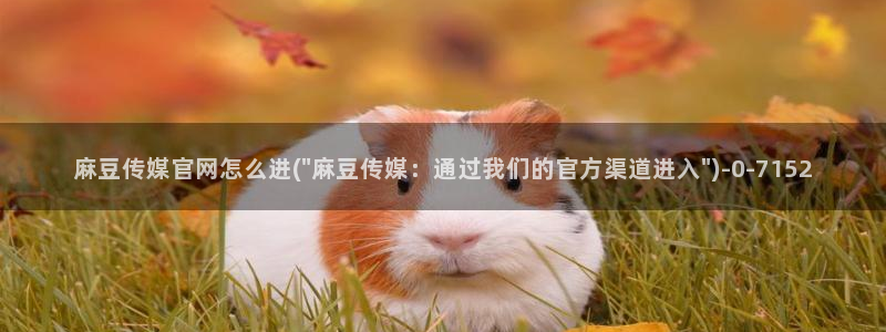 91麻豆精品传媒官网：麻豆传媒官网怎么进(\