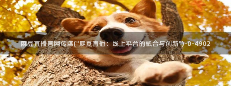 麻豆传媒官网账号：麻豆直播官网传媒(\