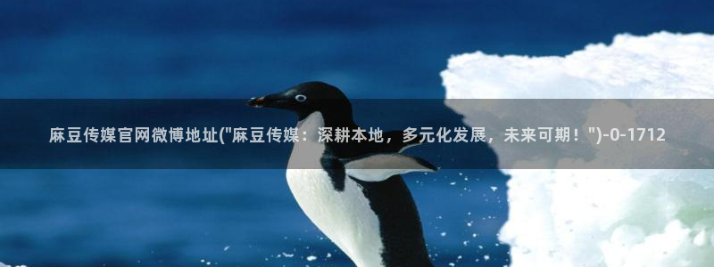 麻豆传媒映画传媒官网：麻豆传媒官网微博地址(\