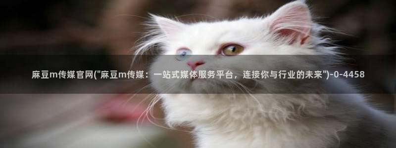 麻豆传媒a官网：麻豆m传媒官网(\
