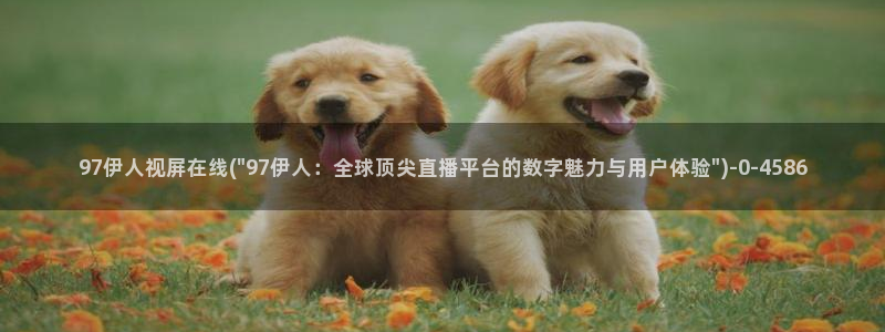 伊人大香萑久草网视频