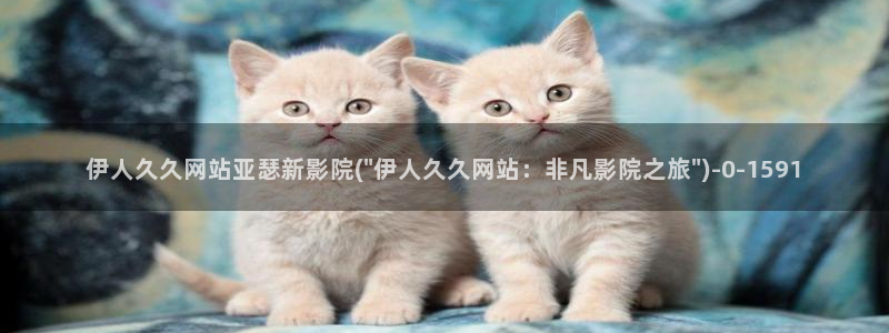 伊人99久久久影院：伊人久久网站亚瑟新影院(\