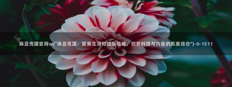 麻豆传媒直播官网福利