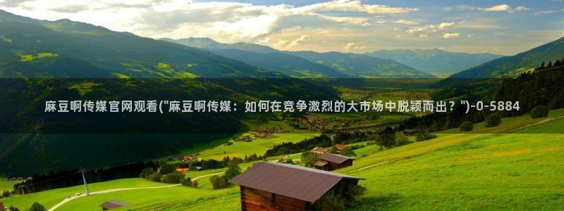 麻豆传媒官网电影
