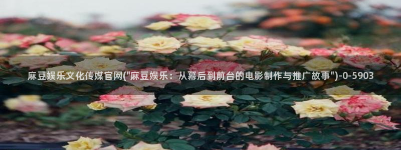 mdapp 麻豆传媒官网app：麻豆娱乐文化传媒官网(\