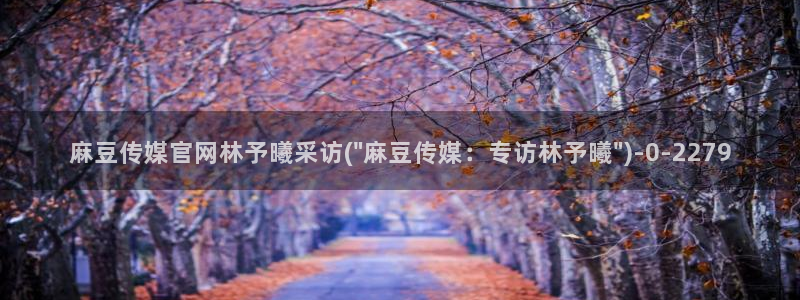 麻豆官网传媒免费网站：麻豆传媒官网林予曦采访(\