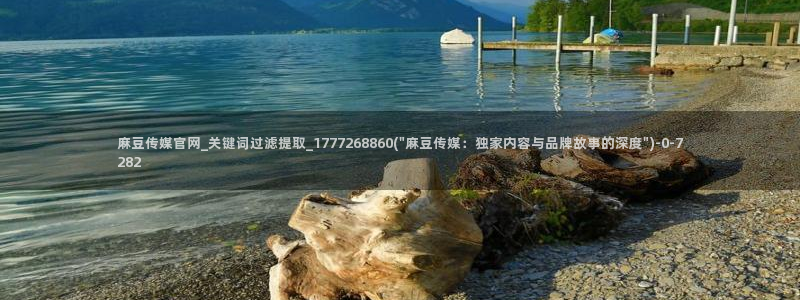 怎么进麻豆传媒官网：麻豆传媒官网_关键词过滤提取_1777268860(\