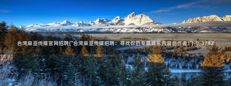 麻豆传媒官网 在线