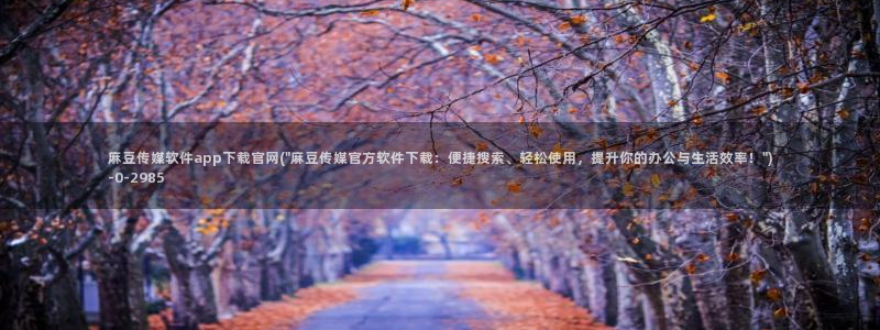 麻豆传媒影视官网入口