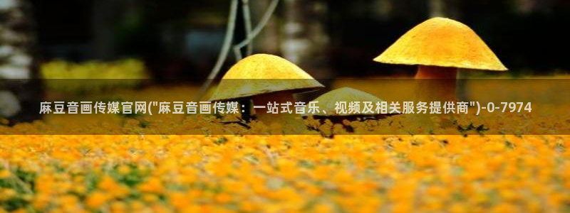 麻豆传媒官网苹果版