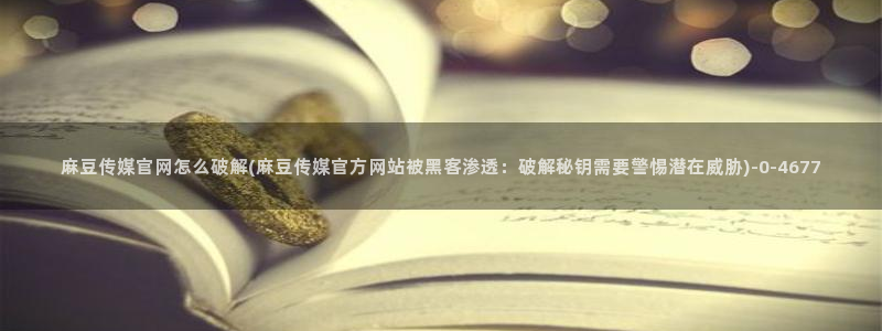 麻豆传媒a官网：麻豆传媒官网怎么破解(麻豆传媒官方网站被黑客渗透：破解秘钥需要警惕潜在威胁)