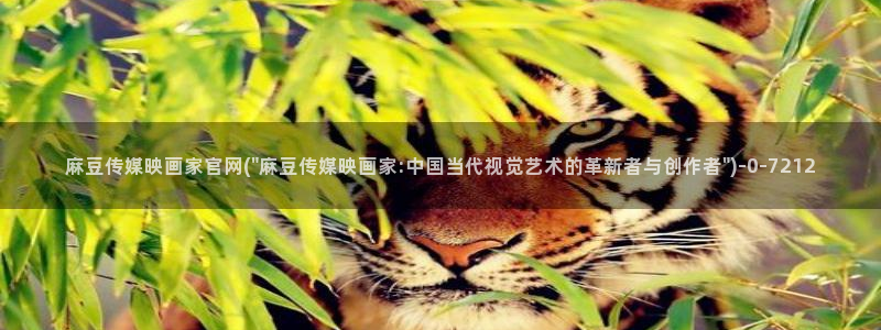 麻豆传媒公司av官网